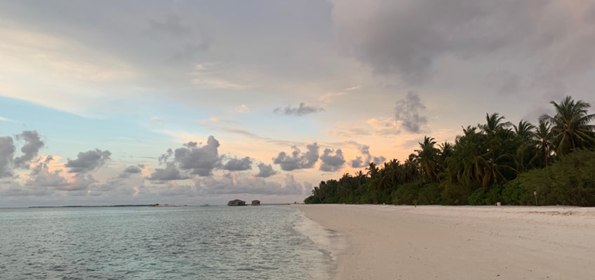 cocoon maldives beach view 